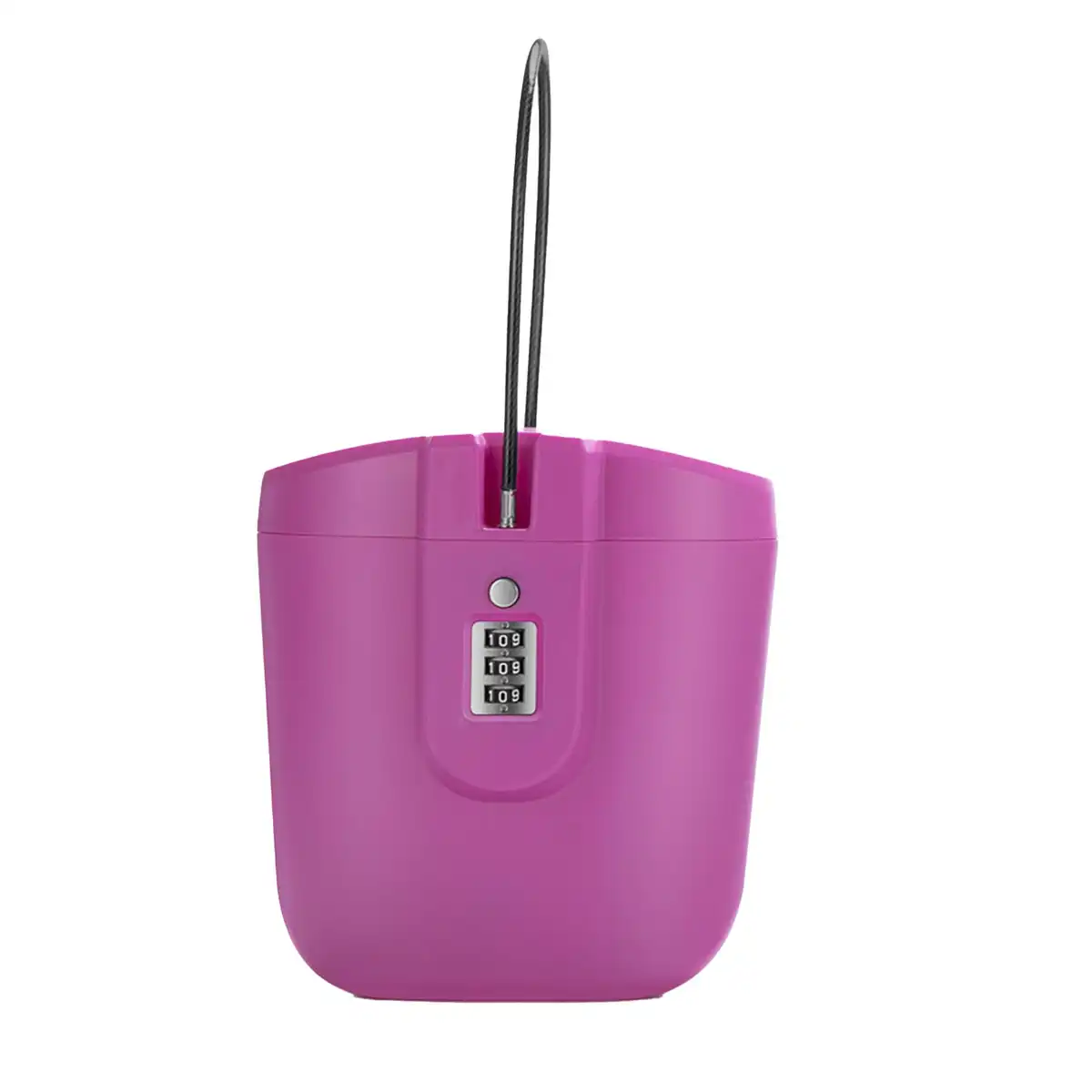 Secure Travel Lock Box product close-up