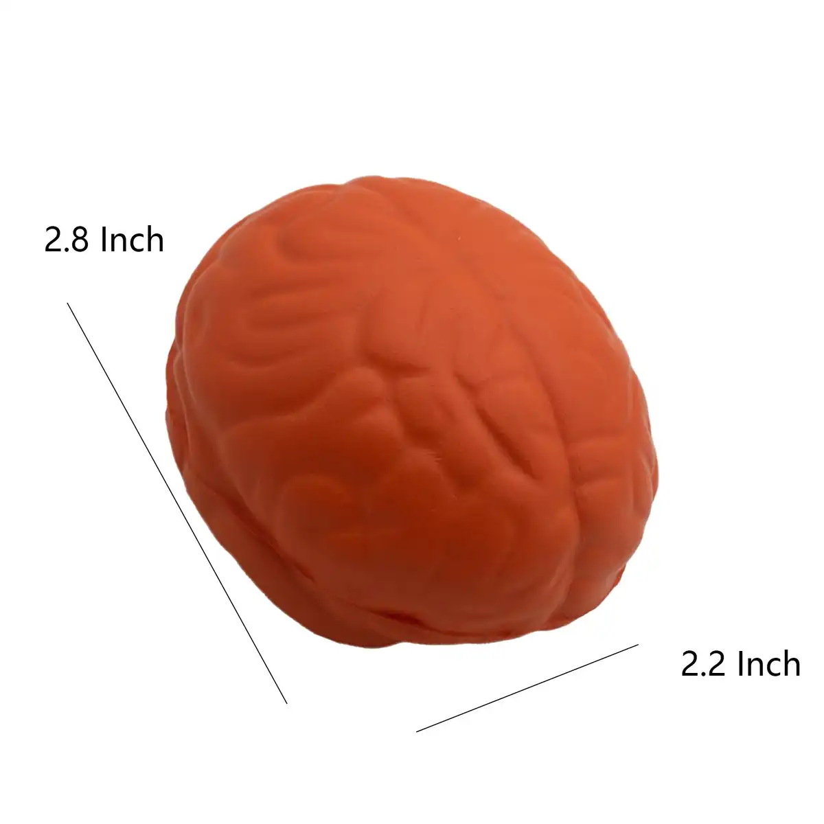 Squeezable Brain Stress Relief Toy product detail view