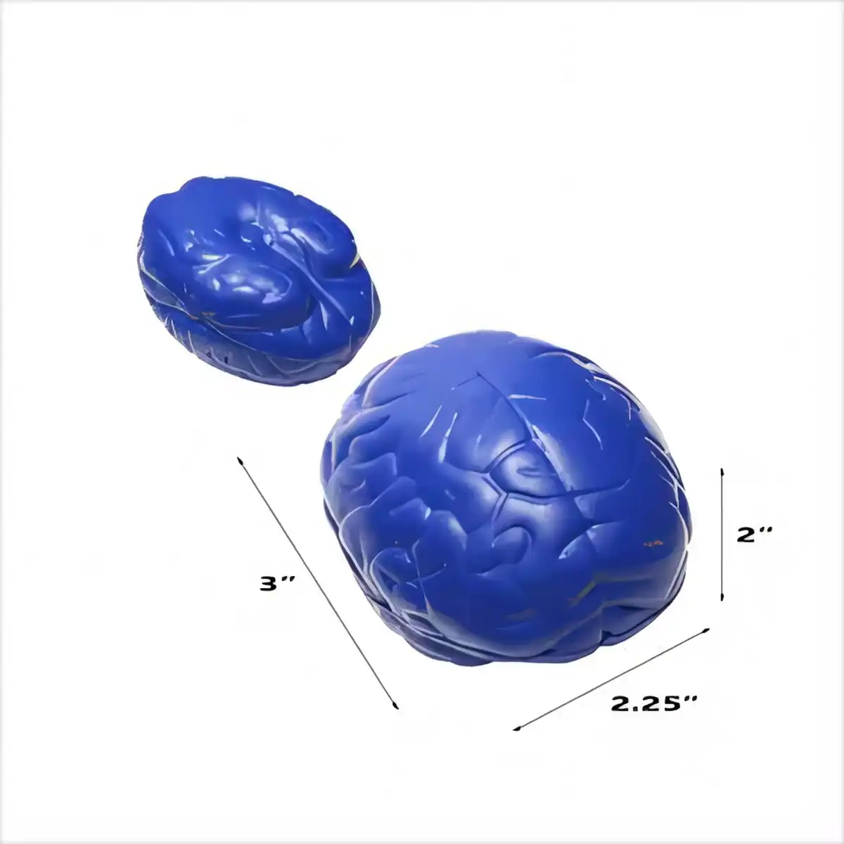 Squishy Brain Stress Relief Toy product detail view