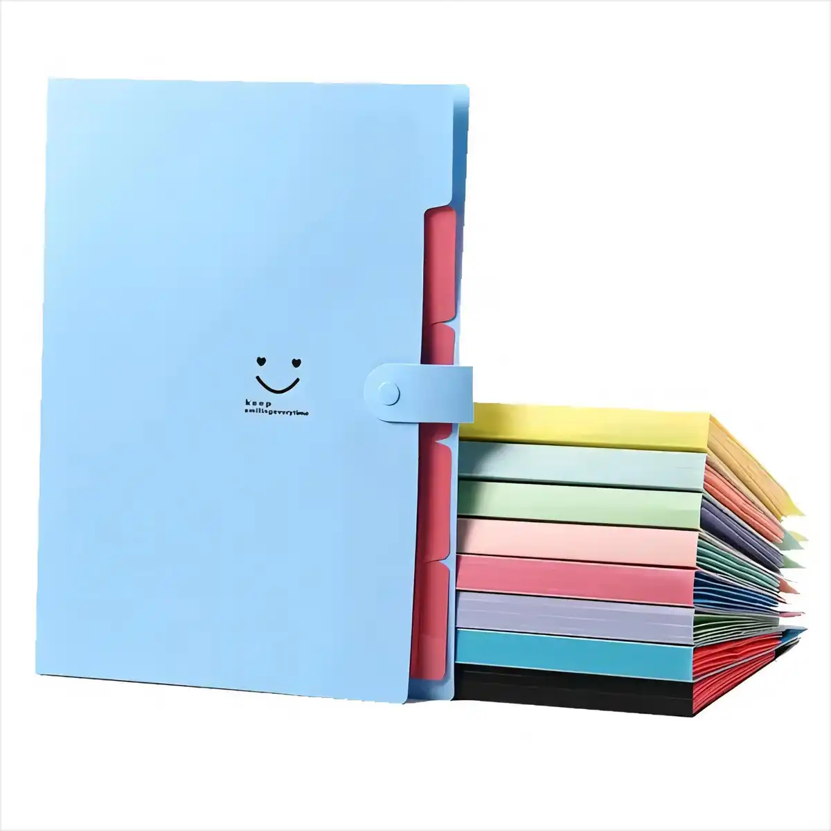 5 Pocket Expanding File Organizer