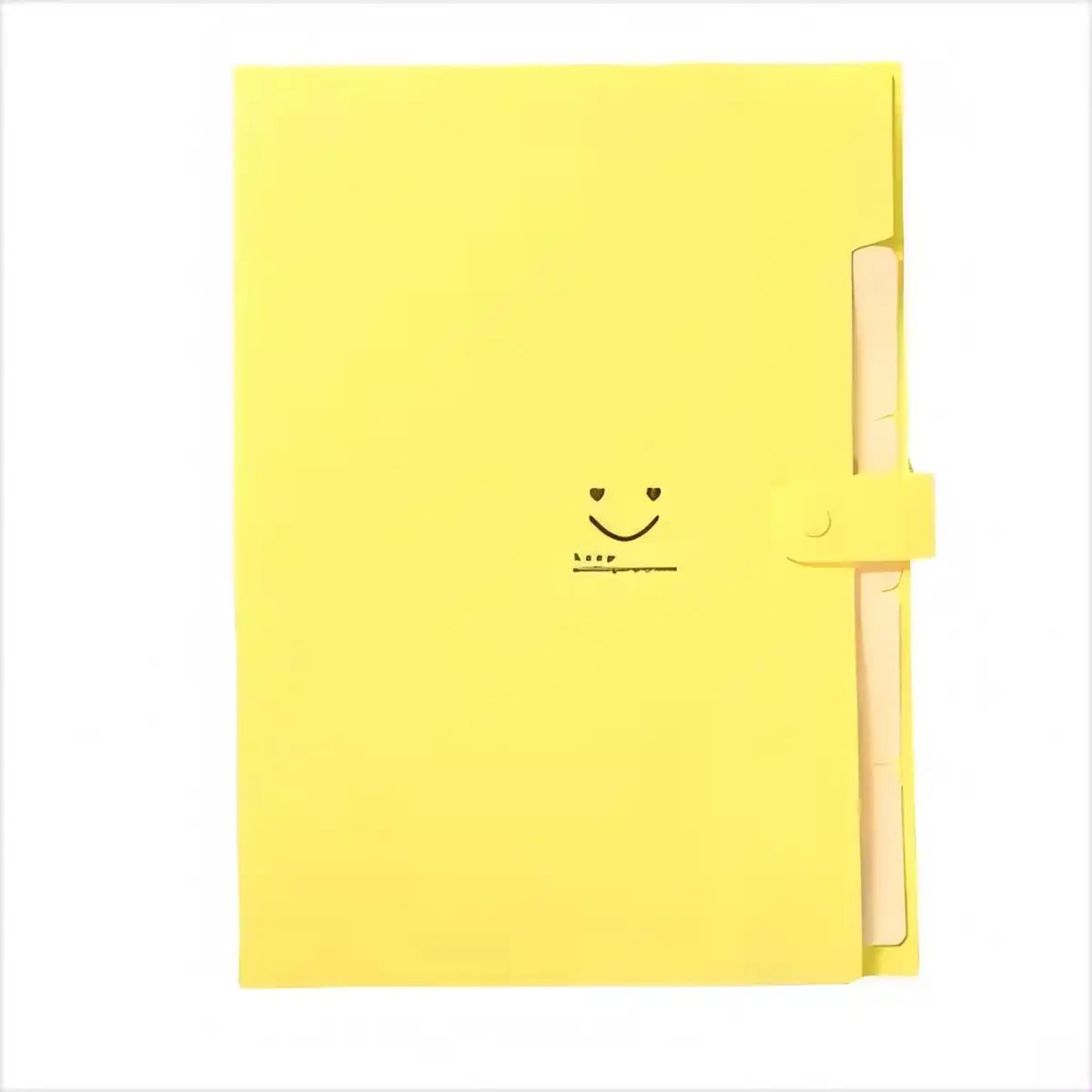 5 Pocket Expanding File Organizer product detail view