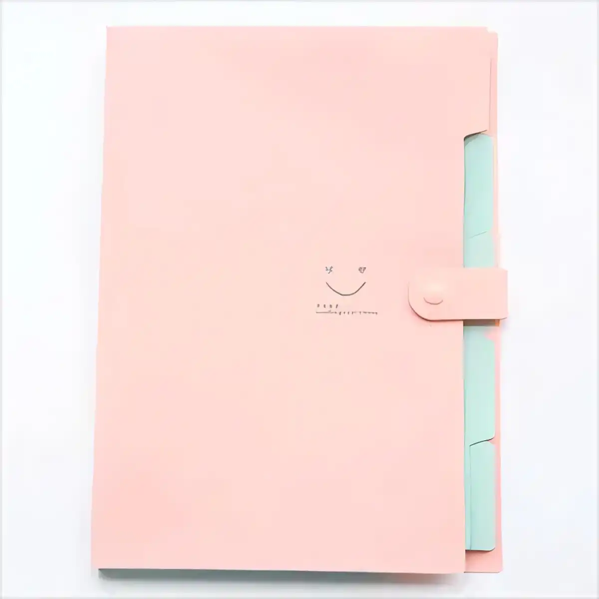 5 Pocket Expanding File Organizer alternate product angle