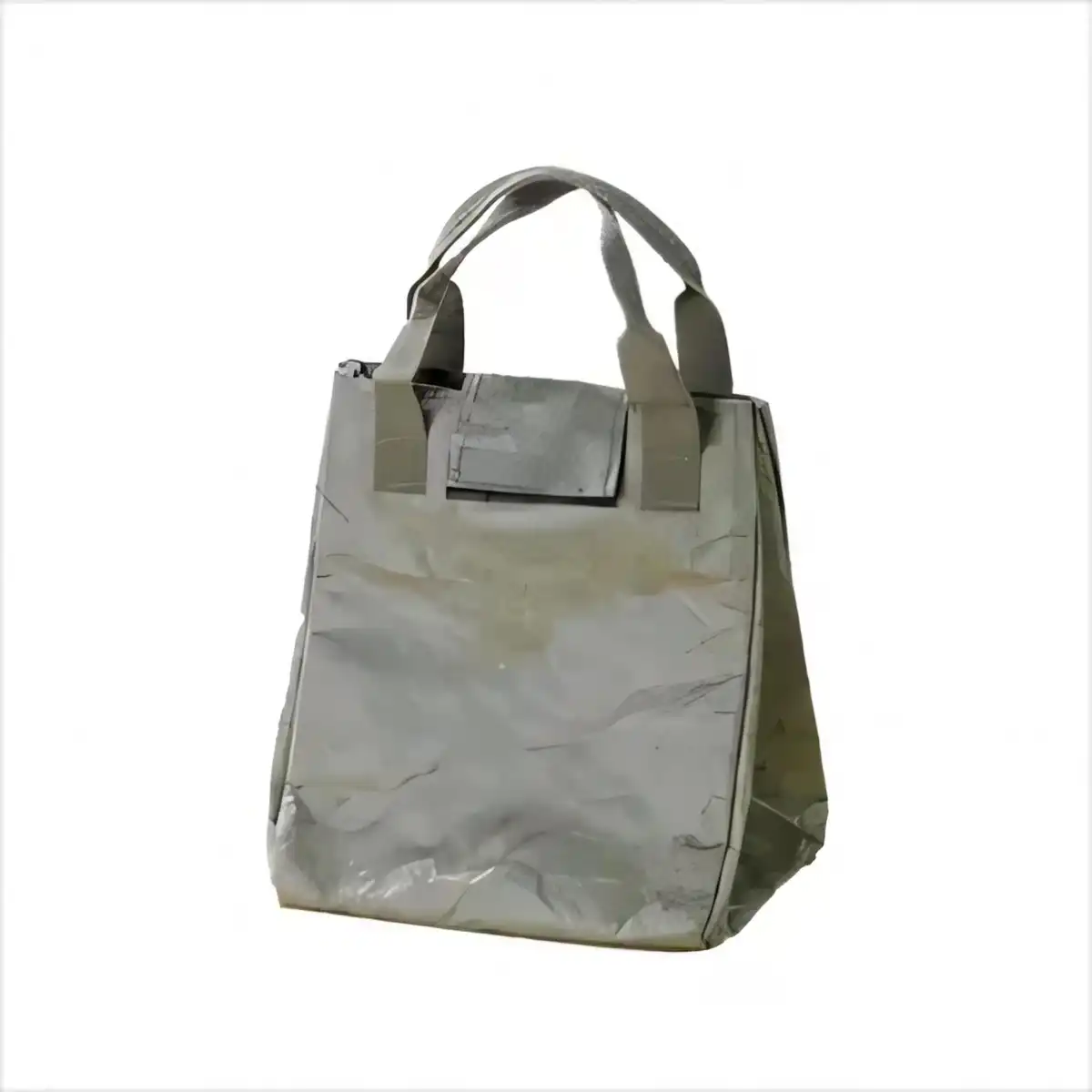 Eco Friendly Reusable Lunch Bag product detail view