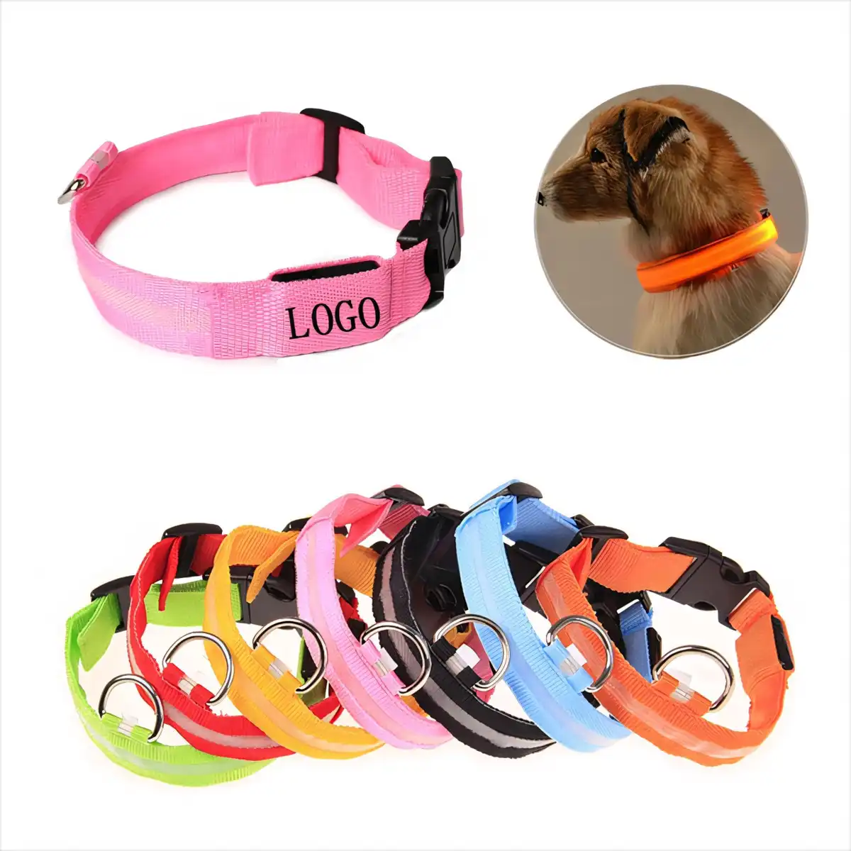 Glow Dog Collar Night Walk