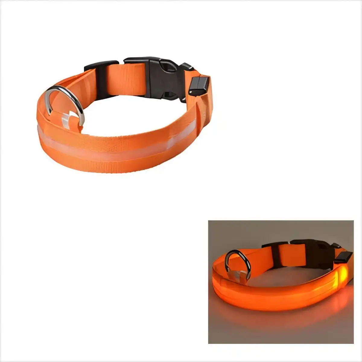 Glow Dog Collar Night Walk product close-up