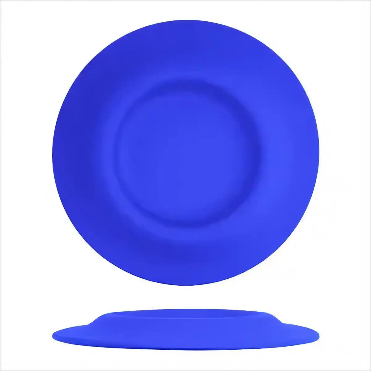 2-in-1 Silicone Pet Travel Bowl product close-up