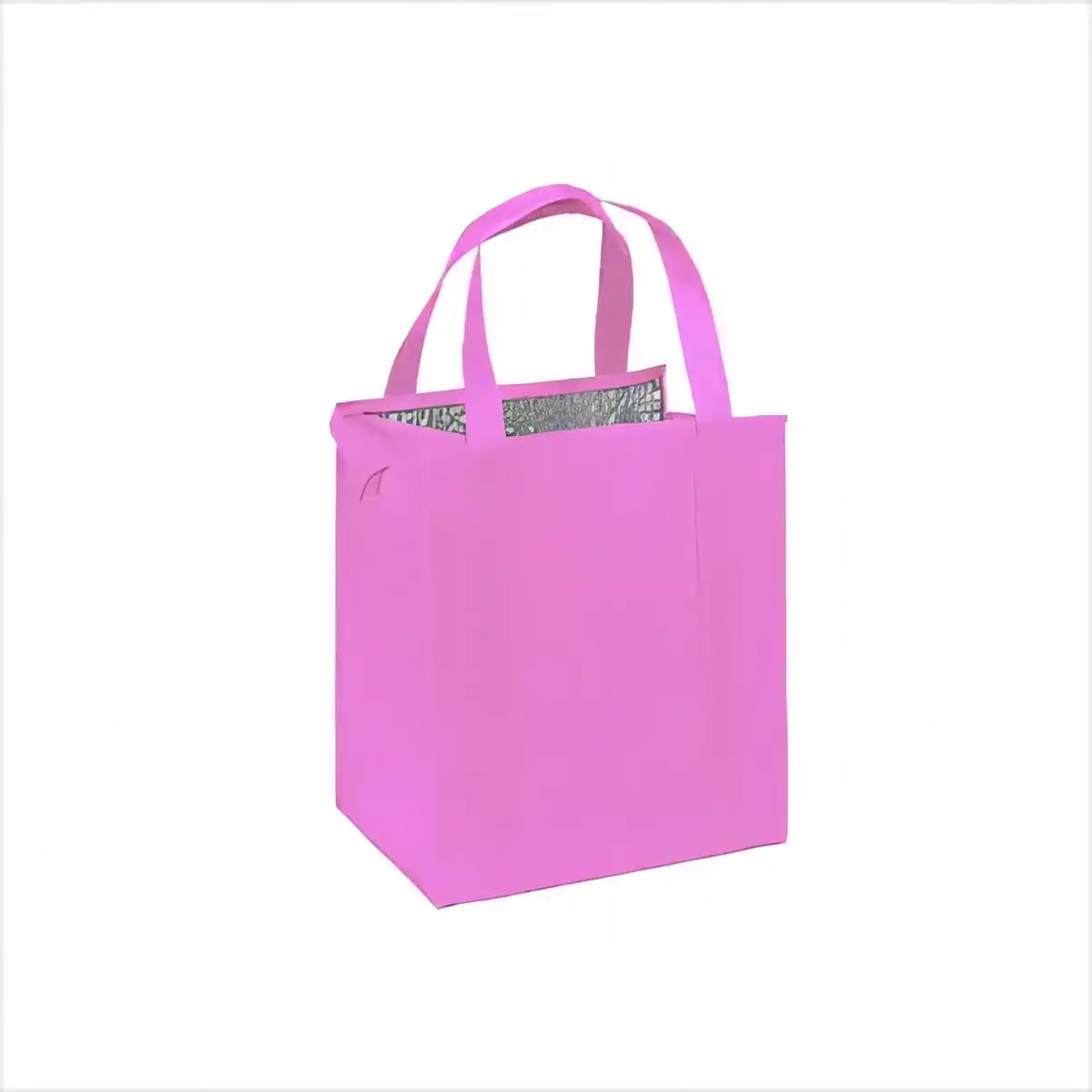 Insulated Lunch Tote Cooler product detail view
