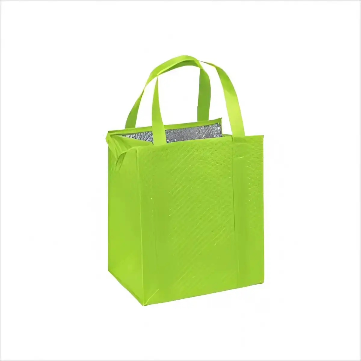 Insulated Lunch Tote Cooler product close-up