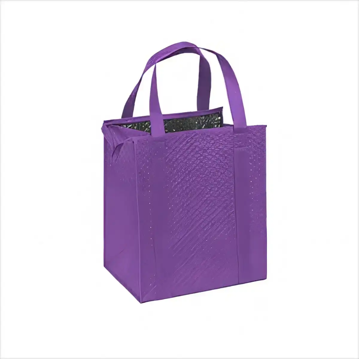 Insulated Lunch Tote Cooler product with accessories