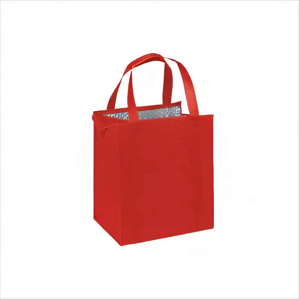 Insulated Lunch Tote Cooler product in use