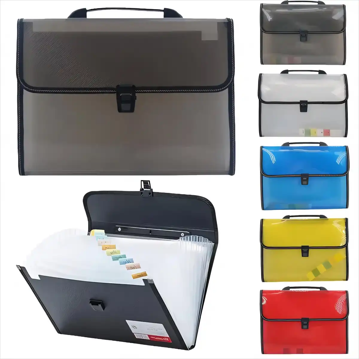 13 Pocket Expanding File Organizer
